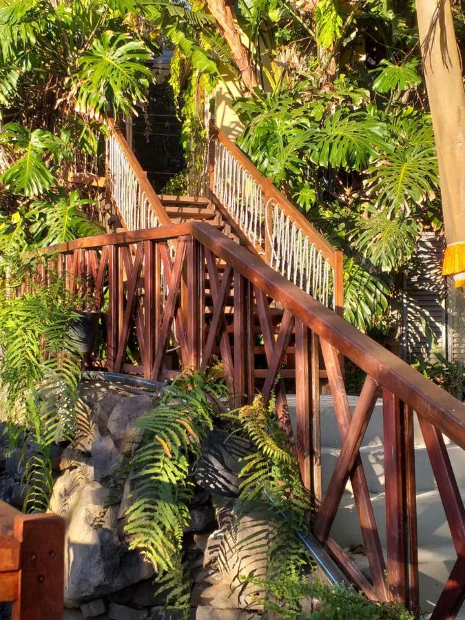 Dazk Golden Estate Ξενοδοχείο Ribeira Brava Εξωτερικό φωτογραφία