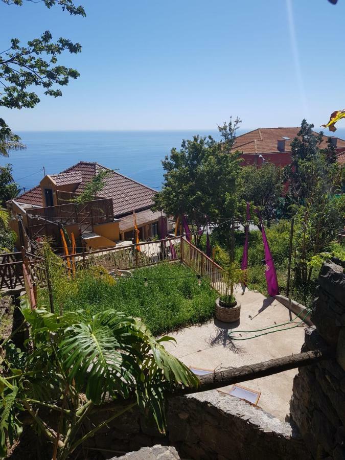 Dazk Golden Estate Ξενοδοχείο Ribeira Brava Εξωτερικό φωτογραφία