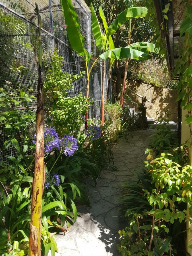 Dazk Golden Estate Ξενοδοχείο Ribeira Brava Εξωτερικό φωτογραφία